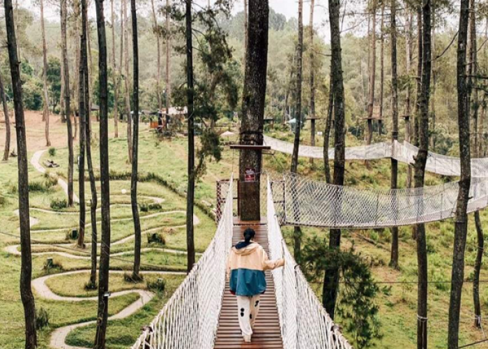 Pesona Alam Lembang di Libur Lebaran 2026 Promo Menarik di Orchid Forest Cikole