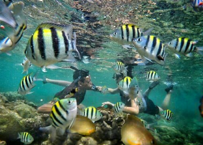 Pantai Nglambor Gunungkidul, Cara Nikmati Sensasi Snorkling Wisata Terbaru 2024 Yogyakarta Cek Rute Lengkapnya