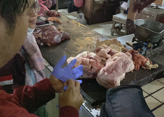 Dinas Pertanian Yogyakarta Pastikan Daging Sapi di Pasar Aman Jelang Akhir Tahun