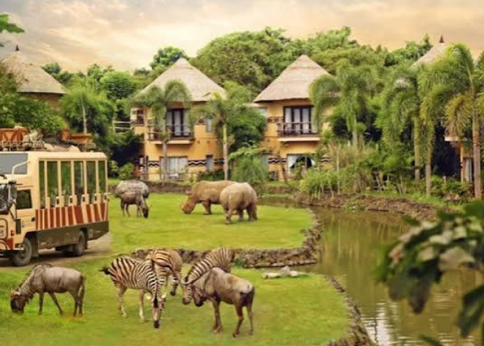 Menjelajahi Keajaiban Margasatwa The Amazing Taman Safari Bali, Cek Harga Tiket Masuk 