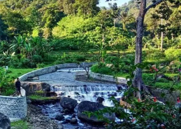 Keindahan Wisata Terbaru 2024 Hutan Nongko Ijo Madiun? Surga Tersembunyi yang Menunggu untuk Dikunjungi 