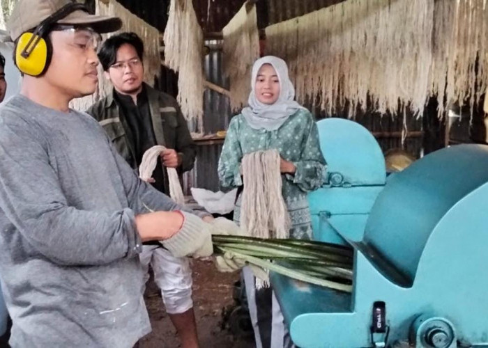 Berkontribusi Pengembangan Serat Nanas Pemalang, BI Tegal Jadi Satu-satunya KPwBI Penerima Apresiasi KemenUMKM