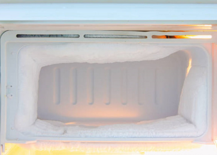 Simak Penyebab Bunga Es Muncul Dalam Merek Kulkas Terbaik dan Cara Mengatasinya
