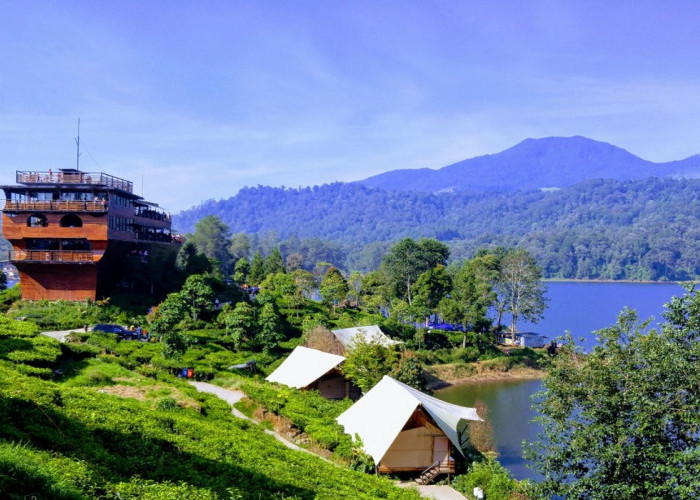 6 Pilihan Wisata Glamping Ciwidey dengan Suasana Sejuk dan Menenangkan, Simak Disini