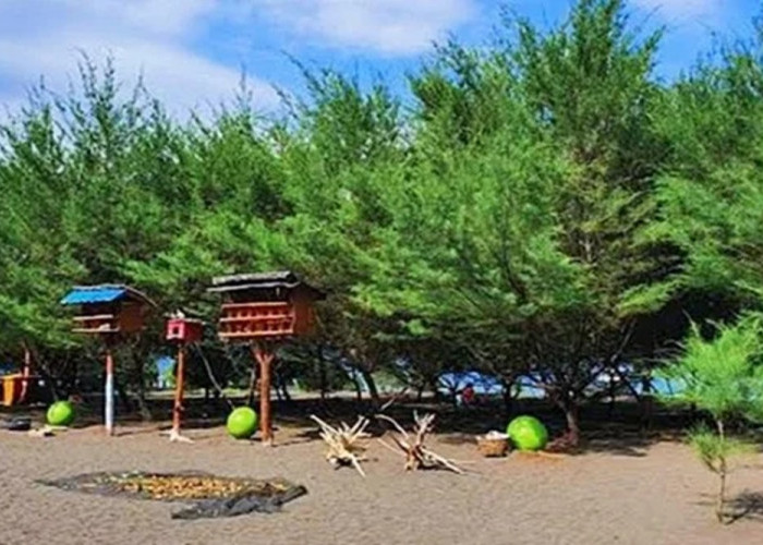 7 Wisata Dekat Stasiun Banyuwangi Paling Menarik dan Mudah Dijangkau, Hadirkan Pengalaman Seru