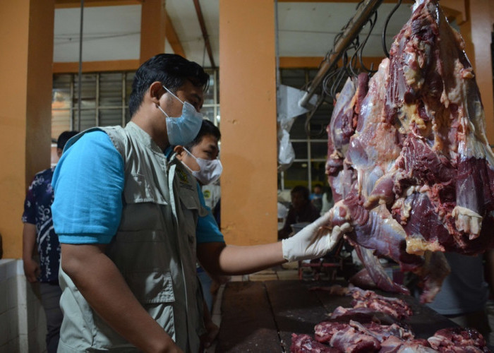 Pemkot Yogyakarta Tingkatkan Pengawasan Penjualan Daging Sapi untuk Antisipasi PMK