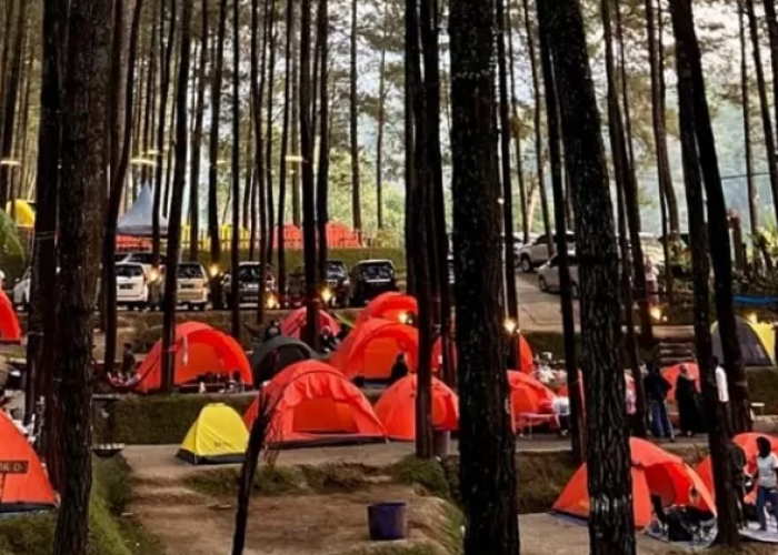 Surga Wisata Blitar untuk Libur Nataru Bisa Dijadikan Pelarian Sejuk Akhir Tahun, Berikut Info Lengkapnya