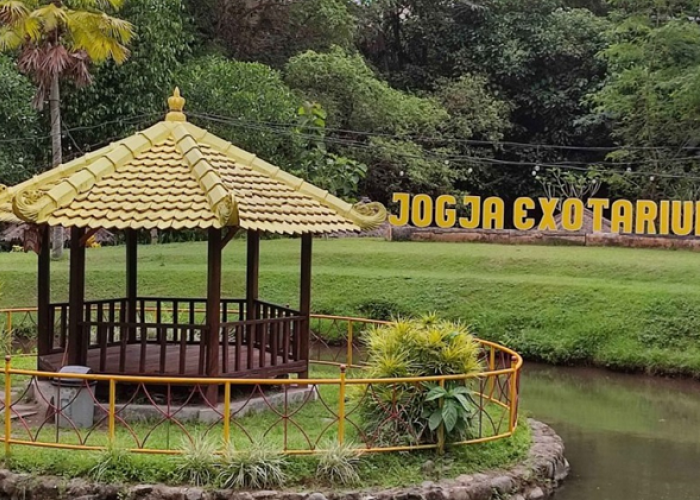 Serunya Berinteraksi dengan Satwa Langsung! Dapatkan Promo Diskon Tiket Jogja Exotarium Mini Zoo Sleman 
