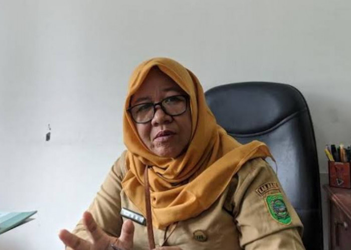 Lewat Program Penyaluran Kerja, Disnakertrans Bantul Target Serapan Kerja 2025 Tembus Ribuan Orang