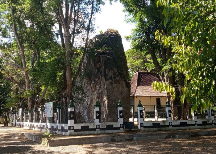 Batu Gamping Eosen Ambarketawang, Saksi Berdirinya Yogyakarta yang Kini Jadi Laboratorium Alam