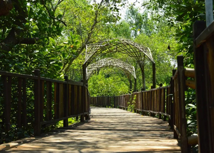 6 Tempat Healing di Surabaya Tawarkan Suasana Damai, Nyaman dan Menenangkan, Cek Disini