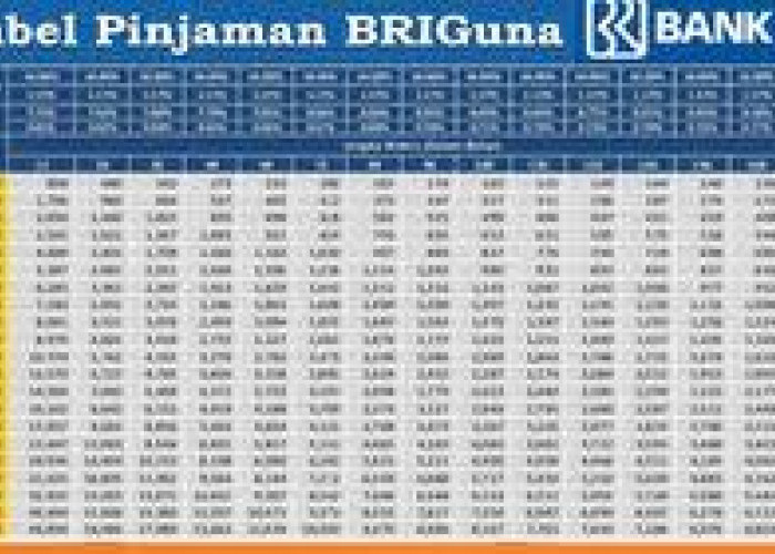 Modal KTP Saja Cair 50 Juta? Simak 7 Cara Ajukan Pinjaman BRIGuna Pencairan Cepat Cicilan Ringan Berizin OJK