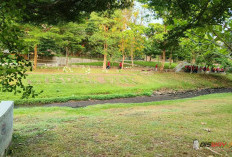 Benarkah Piknik di Wisdom Park UGM Berbayar? Ini Klarifikasi Kampus