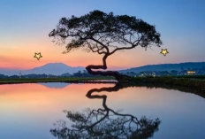 Rekomendasi Daftar Tempat Wisata Unggulan dan Terbaru di Salatiga, Cek Info Lengkapnya Berikut Ini