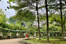 Daftar Rekomendasi Spot Ngabuburit Populer Hemat dan Estetik di Jakarta Selatan, Simak Ulasan Selengkapnya