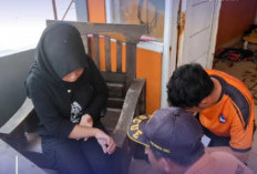 Bentuknya Mirip Gelembung Bening Kebiruan, Tapi Bahayanya Nggak Main-main Ini Fakta Ubur-ubur Racun 'Impes'