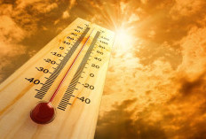 Panas Ekstrem Tak Lagi Sekadar Gerah, Heat Stroke Bisa Berakibat Fatal