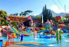 Daftar Harga Tiket Masuk Jatim Park 2026, Ini Strategi Liburan Hemat dan Seru Bersama Keluarga
