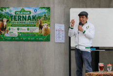 55 Peserta Belajar Rahasia Ruminansia, Mengubah Hijauan Menjadi Daging dan Kotoran Menjadi Berkah 