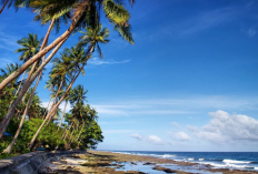 Maluku Dinobatkan Sebagai Surga Bahari Paling Terjaga Keasliannya, Berikut Sederet Fakta Uniknya