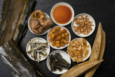 Rahasia Kuliner Jepang yang Lezat, Begini Perbedaan dan Cara Pembuatannya Cek Info Lengkapnya Disini