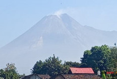 Mas Jabling, Relawan SAR di Cangkringan Lereng Merapi Yang Harus Selalu Siap Saat Dibutuhkan