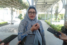 Belum Ada Kasus, Pemda DIY Tetap Waspada Ancaman Virus Nina