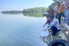 Pengelolaan Budidaya Ikan Air Tawar Waduk Malahayu Jadi Jujugan Studi Tiru Kabupaten Sumedang
