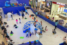 Salju di Mal Ciputra Mengubah Ekspektasi Liburan Semakin Indah, Simak Info Lengkapnya Berikut Ini