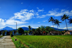 Ini Rekomendasi Destinasi Wisata Unggulan di Kawasan Ambarawa