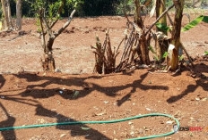Sumur Bor Kian Dalam Untuk Dapat Air, Gunungkidul Utara Terancam Krisis Air Tanah 