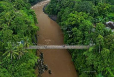 Pria Asal Srandakan, Bantul Diduga Tenggelam di Sungai Progo, Pencarian Masih Berlangsung