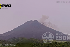  Awan Panas Guguran Merapi Meluncur 1 Km ke Arah Boyong, BPPTKG Peringatkan Bahaya Lahar