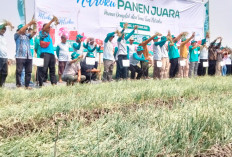 Musim Kemarau Panjang Lebih Produktif, Petani Brebes Klaim Panen Bawang Merah Naik 11 Persen Dengan Nitroku