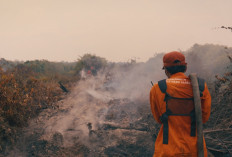 Film Dokumenter Gestures of Care Angkat Mitigasi Kebakaran, Tayang Perdana di JAFF 2025