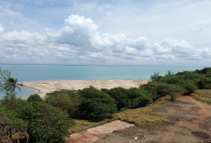 7 Destinasi Liburan Menarik dengan Keindahan Alam Menawan di Merauke, Buat Harimu Makin Berkesan