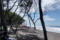Tiket Pantai Bantul Rp15.000 Digugat, Pemkab Siap Uji Coba Tarif Murah