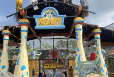 Wahana Seru di Ibarbo Park Jogja jadi Destinasi Wisata Keluarga Paling Hits yang Memukau