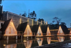 Healing Terbaik Lewat Penginapan Eksklusif dengan Pemandangan Pegunungan dan Glamping Estetik