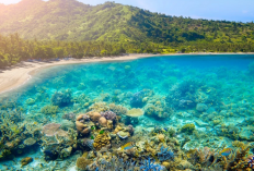 Destinasi Wisata Unggulan di Indonesia Pilihan Sandiaga Uno Paling Wajib Masuk Bucket List Liburan