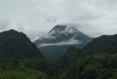   Pendakian Ilegal Gunung Merapi Marak, Balai TNGM Catat 60 Pendaki Terjaring