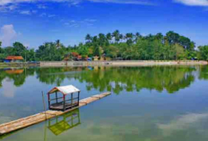 Menyusuri Kalialas Riverside,Kuliner Tersembunyi dengan Nuansa Alam dan Edukasi di Bogor