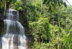 Wisata Instagrammable di Garis Batas Jawa Barat & Jawa Tengah Paling Hits 2026