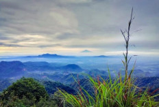 5 Daftar Tempat Wisata Seru di Rembang, Referensi Liburan Terbaik Bareng Keluarga Tercinta