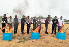 Pemkab Brebes-Bea Cukai Tegal Musnahkan Rokok Ilegal Senilai Rp 7.93 Miliar Dengan Cara Dibakar