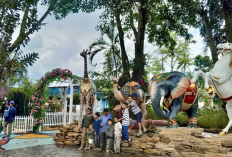 Rekomendasi Destinasi Edukasi dan Rekreasi Satwa Terbaik di Jawa Barat