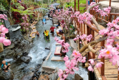 Menjelajahi Tanaka Waterfall Mendapati Julukan Pesona