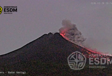 Awan Panas Guguran Gunung Merapi Terjadi Dua Kali, Jarak Luncur Capai 1,4 Km