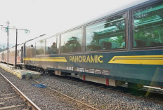KAI Wisata Tebar Promo Dari Kereta Panoramic hingga Hotel Transit di Penghujung Tahun, Cek Infonya Disini