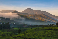 Nikmati Petualangan Seru Menjelajahi Alam Sukabumi dengan Fun Offroad